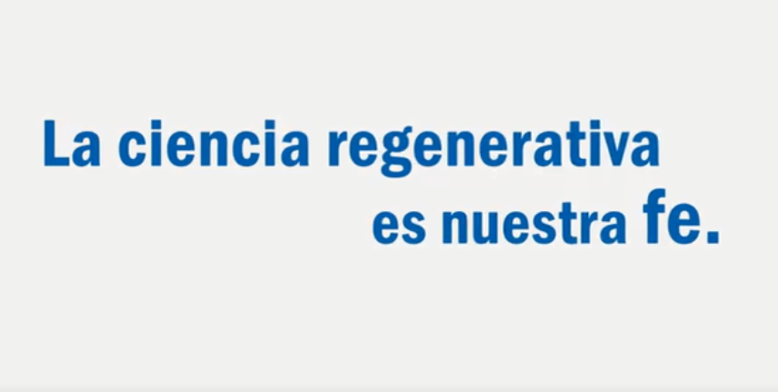 Company Profile（Espa?ol）