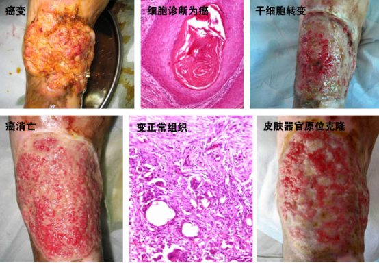 千亿国际(唯一)官方网站登录