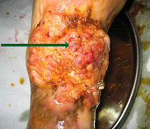 千亿国际(唯一)官方网站登录
