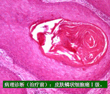 千亿国际(唯一)官方网站登录