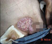 千亿国际(唯一)官方网站登录