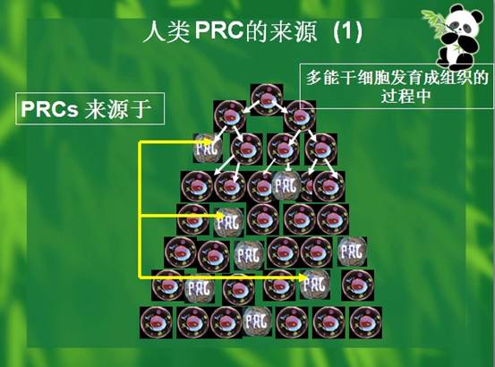 千亿国际(唯一)官方网站登录