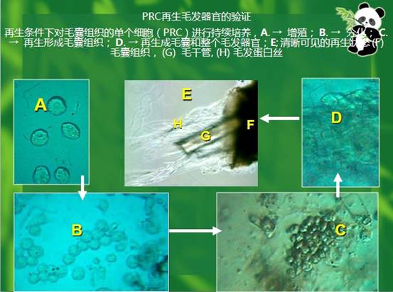千亿国际(唯一)官方网站登录