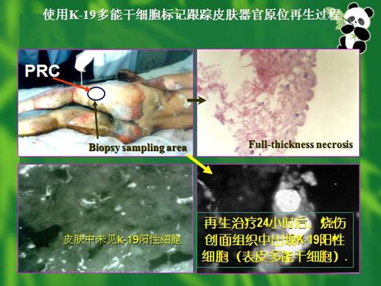 千亿国际(唯一)官方网站登录