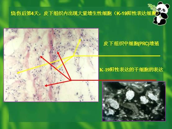 千亿国际(唯一)官方网站登录