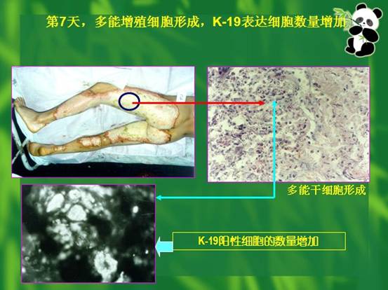 千亿国际(唯一)官方网站登录