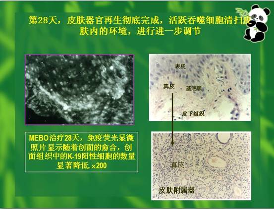 千亿国际(唯一)官方网站登录