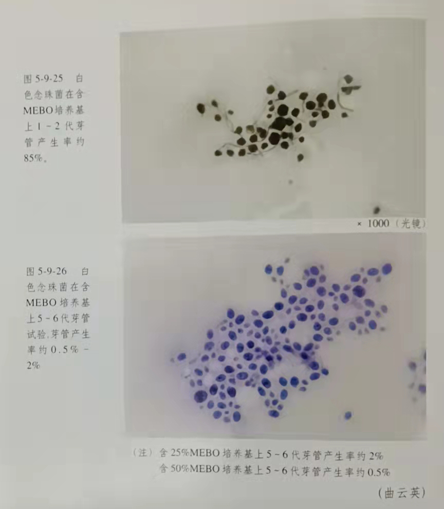 千亿国际(唯一)官方网站登录