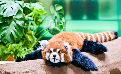 千亿国际(唯一)官方网站登录