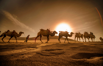 千亿国际国际 “一带一起”建议培训平台