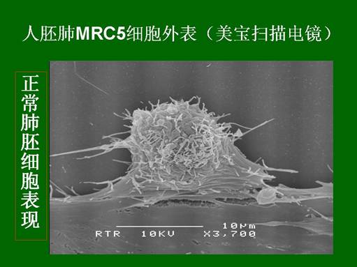 千亿国际(唯一)官方网站登录