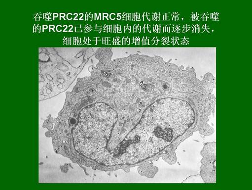 千亿国际(唯一)官方网站登录