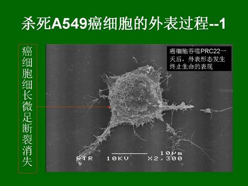 千亿国际(唯一)官方网站登录