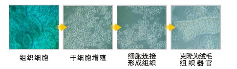 千亿国际(唯一)官方网站登录
