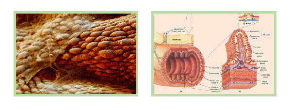 千亿国际(唯一)官方网站登录