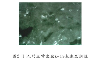 千亿国际(唯一)官方网站登录