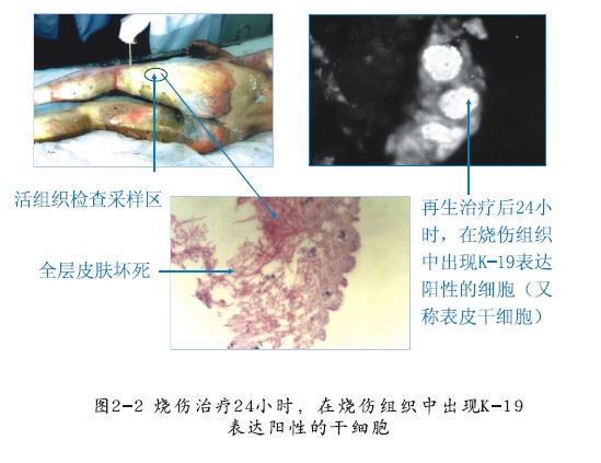 千亿国际(唯一)官方网站登录
