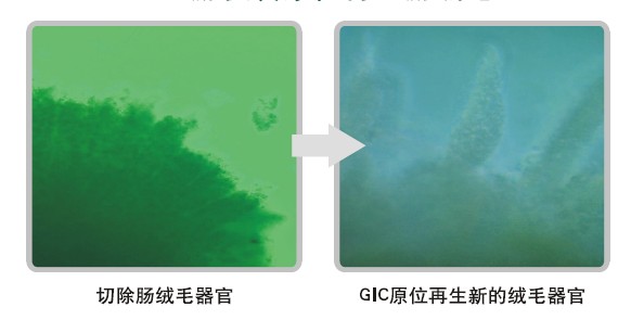 千亿国际(唯一)官方网站登录