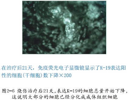 千亿国际(唯一)官方网站登录