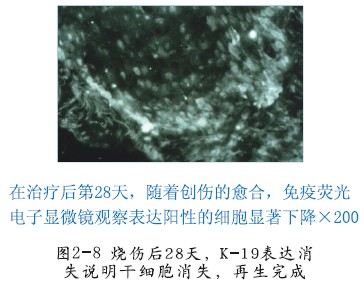 千亿国际(唯一)官方网站登录