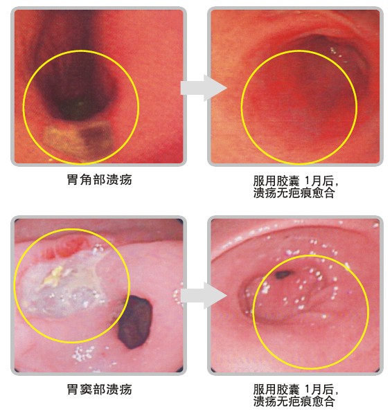 千亿国际(唯一)官方网站登录
