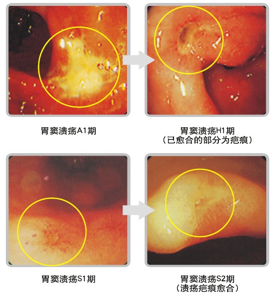 千亿国际(唯一)官方网站登录