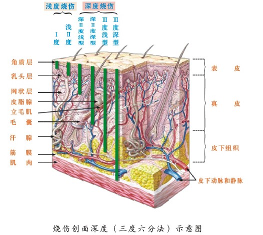 千亿国际(唯一)官方网站登录