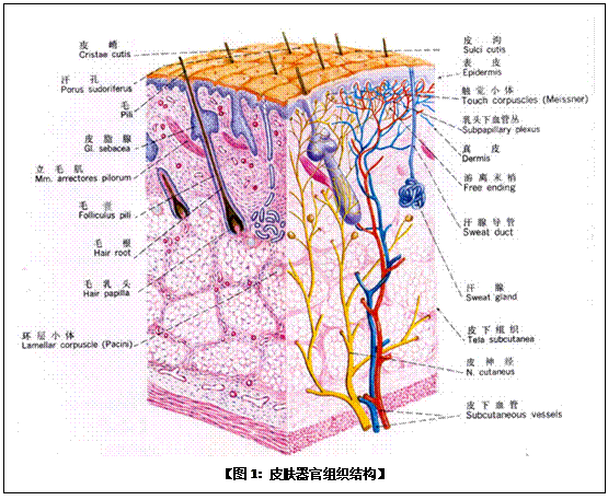千亿国际(唯一)官方网站登录