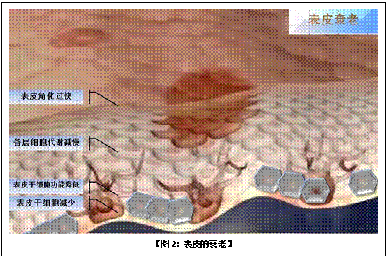 千亿国际(唯一)官方网站登录
