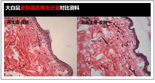 千亿国际(唯一)官方网站登录