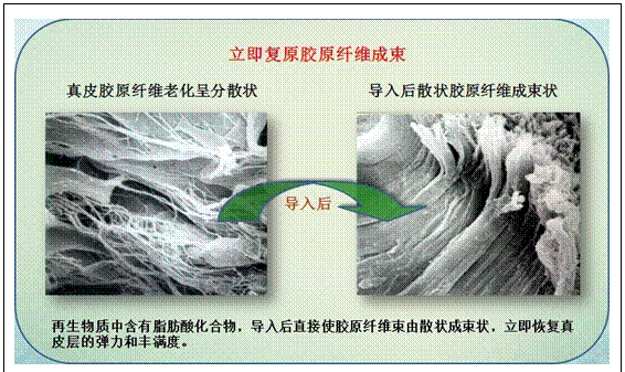 千亿国际(唯一)官方网站登录