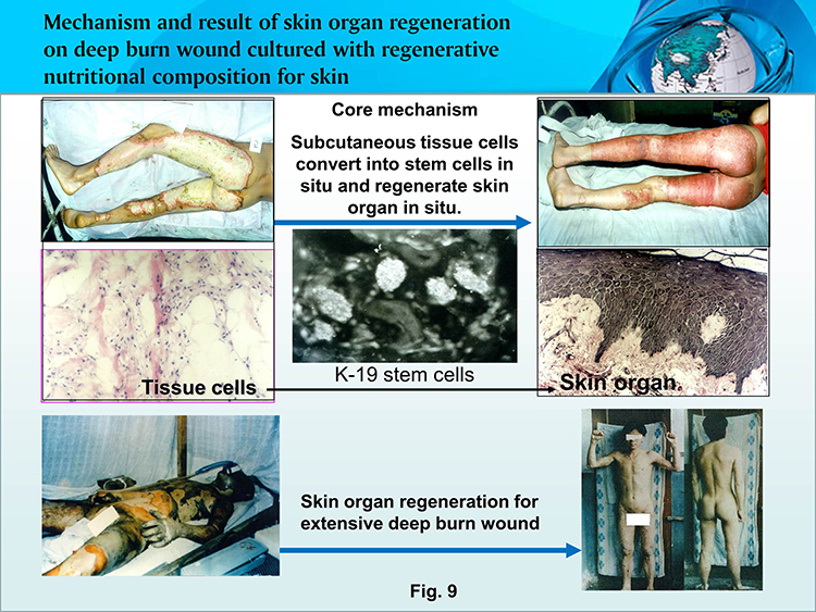 千亿国际(唯一)官方网站登录