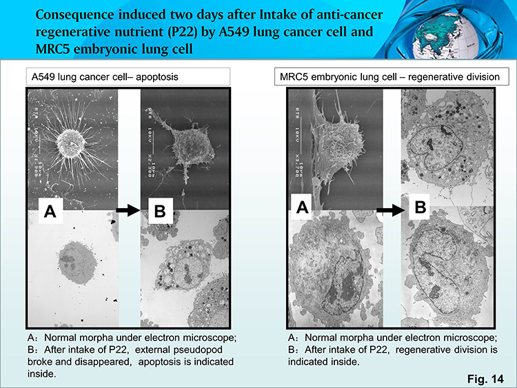 千亿国际(唯一)官方网站登录