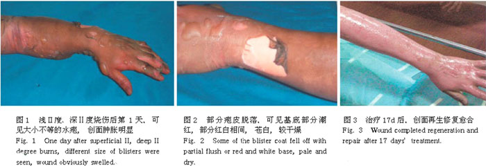 千亿国际(唯一)官方网站登录