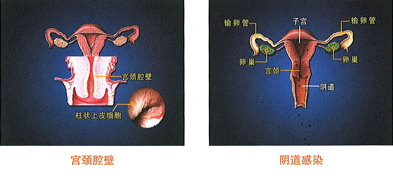千亿国际(唯一)官方网站登录