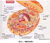 千亿国际(唯一)官方网站登录